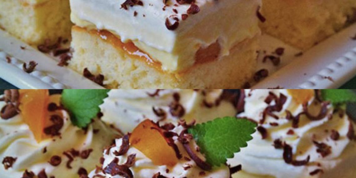 Leckere Schnitten – FLORIDA