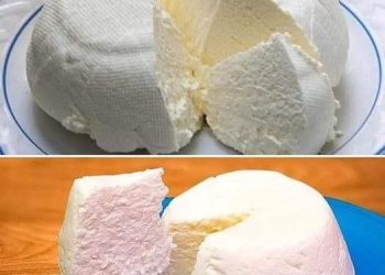 Wenn Sie 1 Liter Milch, Joghurt und eine halbe Zitrone haben, können Sie den besten hausgemachten Käse herstellen