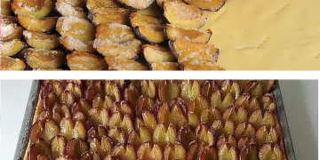 Hefe-Pflaumenkuchen 