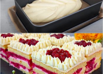 Der köstlichste Kirsch-Weihnachtskuchen, der auf der Zunge zergeht. Unglaublich leckerer!