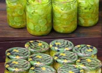 Senfgurken süß-sauer