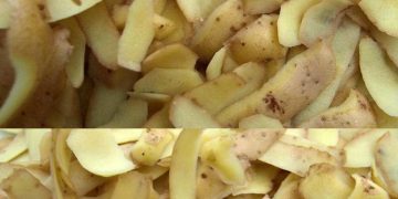 Kartoffelschalen, nicht wegwerfen: Sie sind „Gold wert“ | Geben Sie sie in ein Glas mit kochendem Wasser | Man kann damit alles machen!