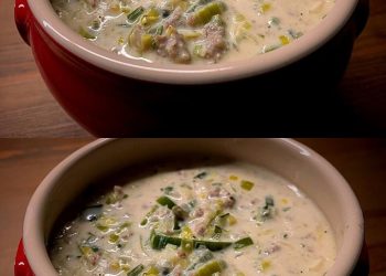 Käse-Lauch-Suppe mit Hackfleisch