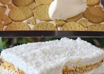 Kokosnusskuchen ohne Backen: das Dessert, das Sie jetzt probieren sollten