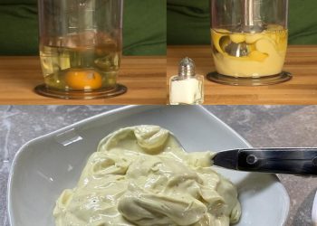 Mmm ab sofort wird nix mehr gekauft! – Blitzschnelle Mayonnaise in einer Minute 