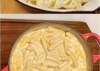 Passt einfach zu jedem Anlass, Nudeln in cremiger Knoblauch Käsesauce