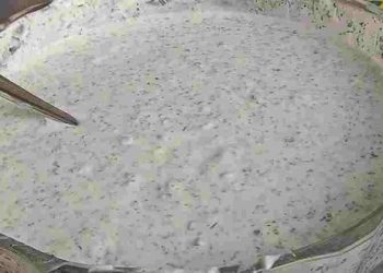 Knoblauch Joghurtsoße