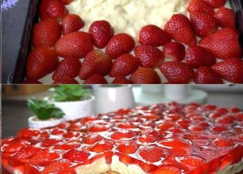 Erdbeerkuchen mit Schmand – Vanillecreme