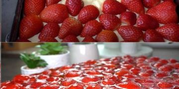 Erdbeerkuchen mit Schmand – Vanillecreme