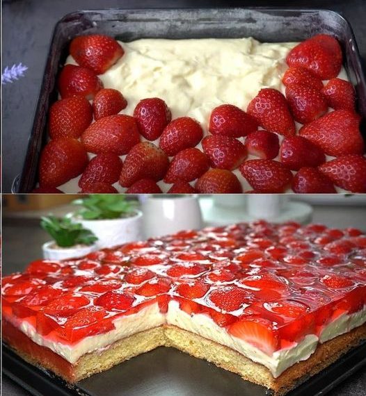 Erdbeerkuchen mit Schmand – Vanillecreme