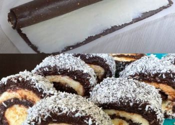 Schoko-Kokos-Rolle ohne Backe, der beste im ganzen Universum!