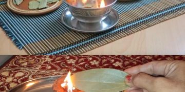 Lorbeerblätter zu Hause verbrennen, überraschend, was 10 Minuten später passiert