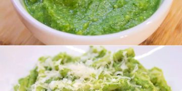 Zucchini-Pesto: die schnelle und leckere Würze für Ihre ersten Gänge