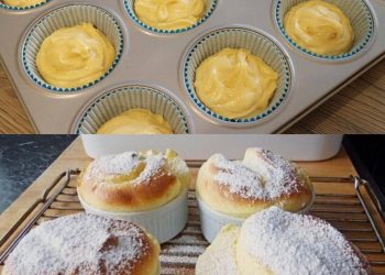 Quark Muffins mit Vanillepudding, ein Traum TOTAL leckeer!