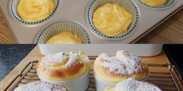 Quark Muffins mit Vanillepudding, ein Traum TOTAL leckeer!