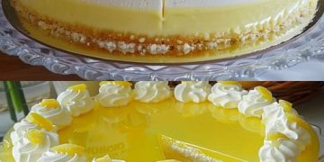 Blitzschnelle Zitronen Joghurt Torte, ich bin süchtig danach geworden!