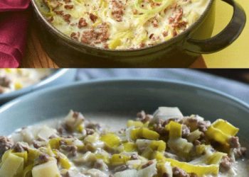 Käse-Lauch-Suppe mit Hackfleisch