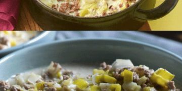 Käse-Lauch-Suppe mit Hackfleisch