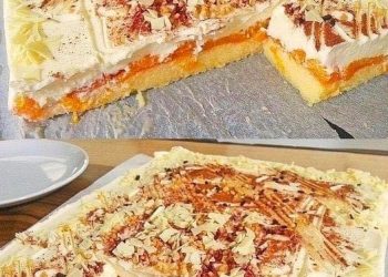 Der einfachste Kuchen der Welt! – Biskuit Mandarinenkuchen vom Blech, Weltklasse!! 