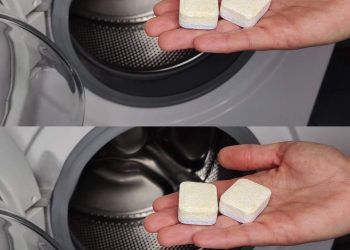 Wenn Sie das tun, kommt der gesamte Schmutz aus der Waschmaschine: Schluss mit unangenehmen Gerüchen aus der Wäsche