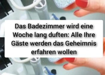 Das Badezimmer wird eine Woche lang duften: Alle Ihre Gäste werden das Geheimnis erfahren wollen