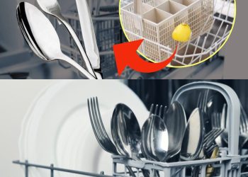 Leg eine Zitrone in den Besteckkorb: der narrensichere Trick für glänzendes Geschirr