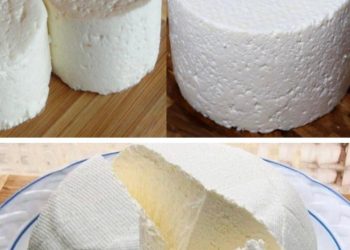 Wie man aus einem Liter Milch, einem Joghurtbecher und einer halben Zitrone einen köstlichen Frischkäse herstellt