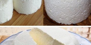 Wie man aus einem Liter Milch, einem Joghurtbecher und einer halben Zitrone einen köstlichen Frischkäse herstellt