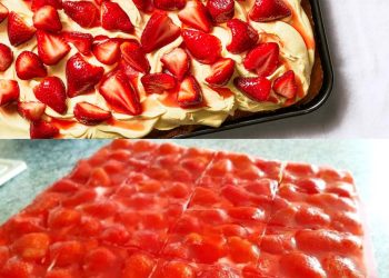 Erdbeerkuchen mit Vanillecreme ich kann gar nicht mehr aufhören mit naschen!