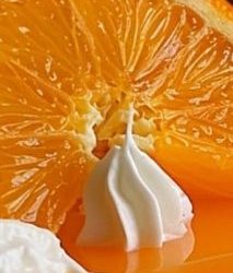 Orangencreamsicle-Käsekuchen