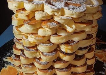 Belgische Vanille Joghurt Waffeln 250 g Joghurt in 2 Minuten