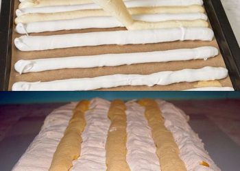 Wir konnten uns nicht losreißen, Kardinalschnitten nach Omas Art!