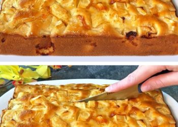 Apfelkuchen mit vielen Äpfeln, lecker!