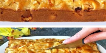 Apfelkuchen mit vielen Äpfeln, lecker!