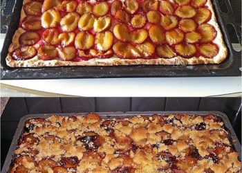 Zwetschgenkuchen vom Blech in 10 Minuten im Ofen