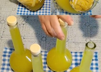Mit 10 Zitronen können Sie ein perfektes Limoncello zubereiten