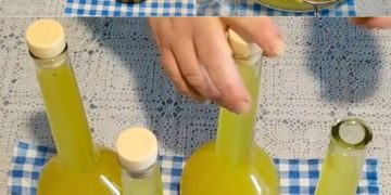Mit 10 Zitronen können Sie ein perfektes Limoncello zubereiten