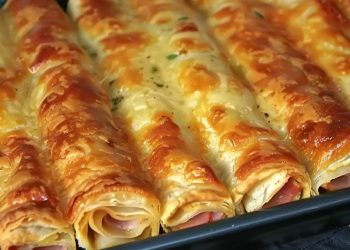 BLÄTTERTEIG Leckeres SCHINKEN KÄSE STANGEN