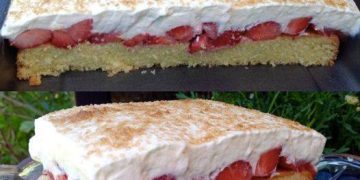 Erdbeer Fanta Kuchen, Jedes Stück schmilzt imm Mund
