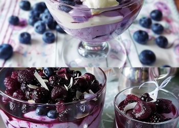 Heidelbeer-Mascarpone Dessert, Unglaublich Gesund