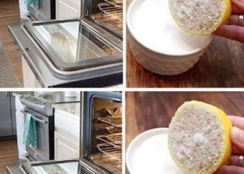 Die beste Methode, Ofenglas zu reinigen