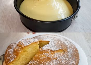 Milchkuchen, meine Familie ist total verrückt danach