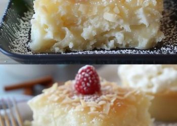 KOKOSKUCHEN MIT VANILLEPUDDING, Oh mann ist der lecker