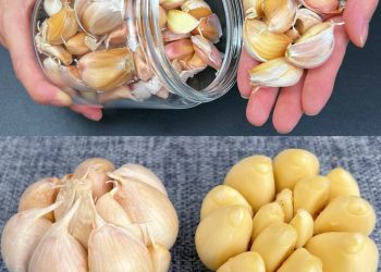 Knoblauch 1 Jahr lang immer frisch und unversehrt: Diesen Trick in der Küche kennen nur Köche