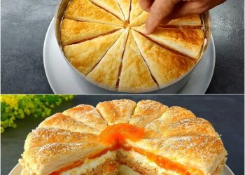 Aprikosenkuchen erfrischend, cremig und so lecker!