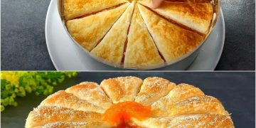 Aprikosenkuchen erfrischend, cremig und so lecker!