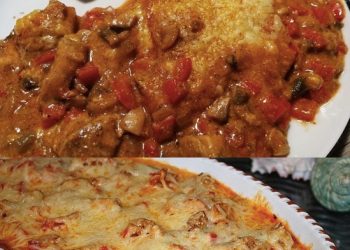 Gyros mit Metaxasauce besser als in jedem Restaurant