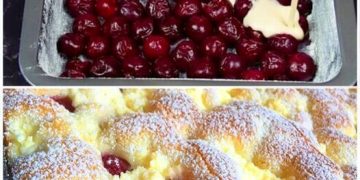 Ein Teufelszeug, Quark Kirschkuchen in 5 Minuten im Ofen