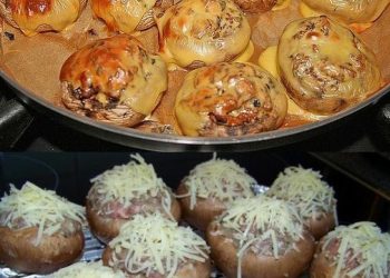 Champignons gefüllt mit Gouda und Hackfleisch, sehr lecker und wird gerne wiederholt! 