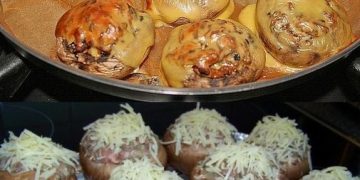 Champignons gefüllt mit Gouda und Hackfleisch, sehr lecker und wird gerne wiederholt! 